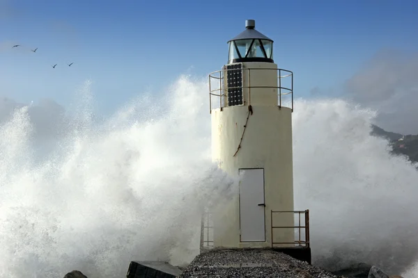 lightosouse fırtına