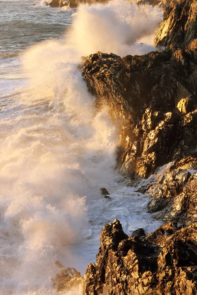 Tempestade marítima — Fotografia de Stock