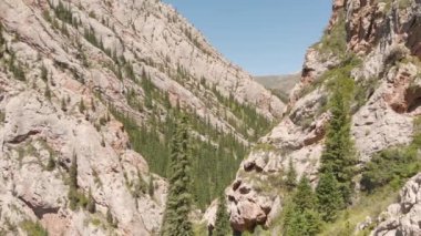 Dağlardaki dar bir geçidin güzel üst manzarası. İnsansız hava aracı, kayalık dağların ve yüksek köknar ağaçlarının arasındaki geçitten uçuyor. Kazakistan 'da güzel beyaz kayalık dağlar.