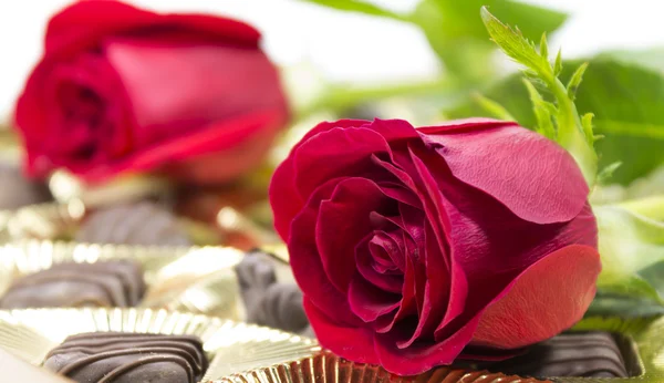 Rose with chocolate — Stock Photo, Image