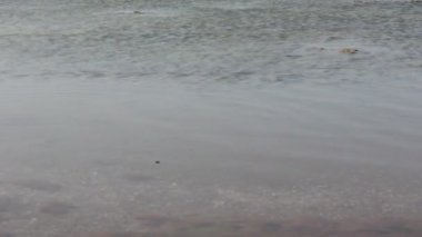 Hazar Denizi kıyısında