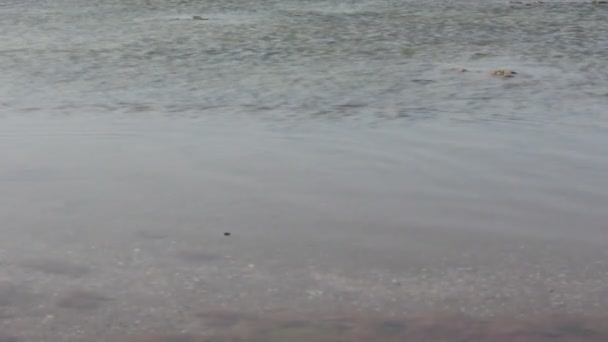 里海海岸 — 图库视频影像