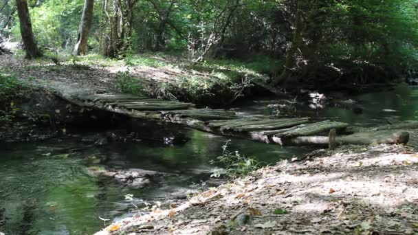 Rivier in het forest in nabran Azerbeidzjan — Stockvideo