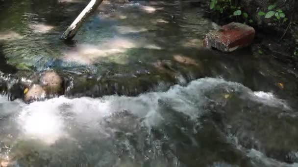 Rio na floresta em Nabran Azerbaijão — Vídeo de Stock