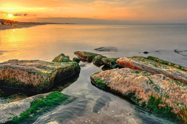 Hazar Denizi Kıyısında Gün Batımında — Stok fotoğraf