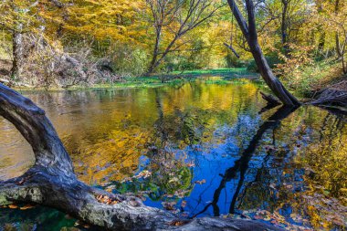 Ormandaki bir göldeki sonbahar renklerinin yansıması.