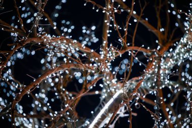 Şehirde yeni yıl çelenkleri yanıyor