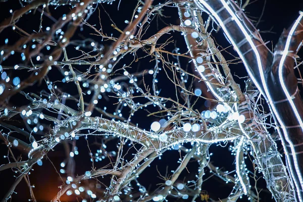 Şehirde yeni yıl çelenkleri yanıyor