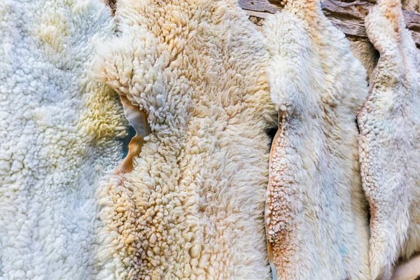 Sheep Skins Hanging Wall Village — Photo