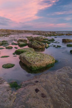 Hazar Denizi kıyısında güneş doğarken