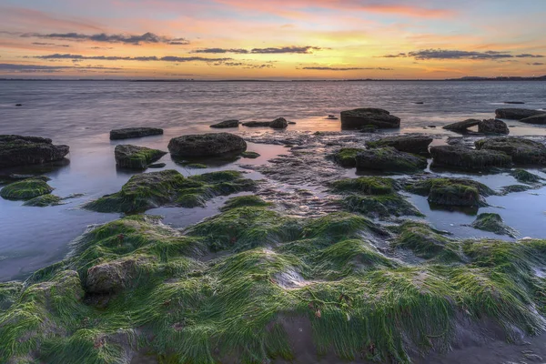 Küste Des Kaspischen Meeres Bei Sonnenaufgang — Stockfoto