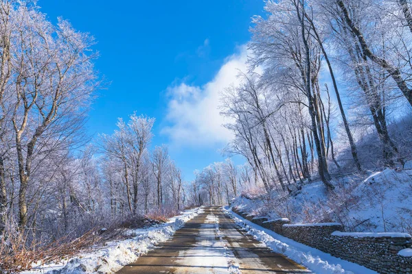 Camino Cubierto Nieve Través Del Bosque — Foto de Stock