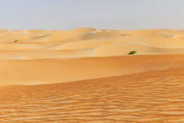 Rub al-Khali çölünün kumları ve renkli kumları
