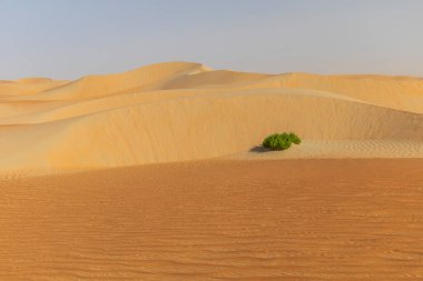 Rub al-Khali çölünün kumları ve renkli kumları
