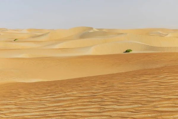 Rub Khali砂漠の砂丘と色の砂 — ストック写真