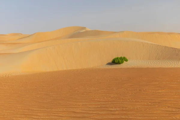 Dunes Sables Colorés Désert Rub Khali — Photo