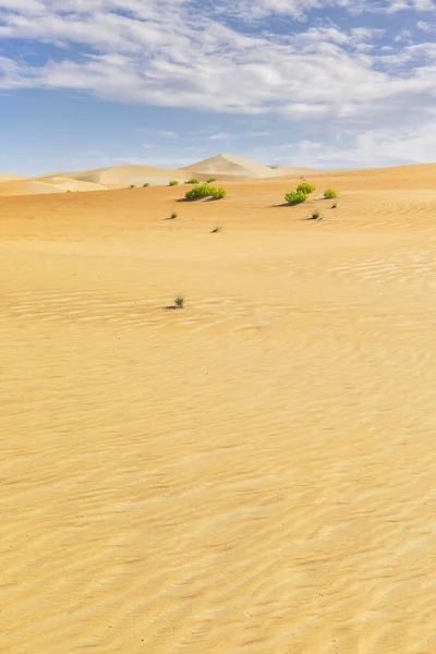Dünen Und Farbiger Sand Der Rub Khali Wüste — Stockfoto