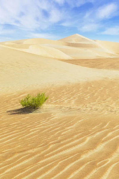 Dunas Areias Coloridas Deserto Rub Khali — Fotografia de Stock