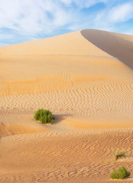 Duinen Kleurig Zand Van Rub Khali Woestijn — Stockfoto