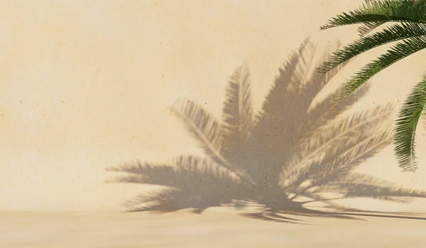 Duvarında Palmiye Ağacının Gölgesi Olan Bir Arka Plan Kapak Kartpostal — Stok fotoğraf