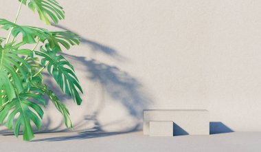 Background with a shadow from a bush on the wall. Cover, postcard. 3D rendering.	