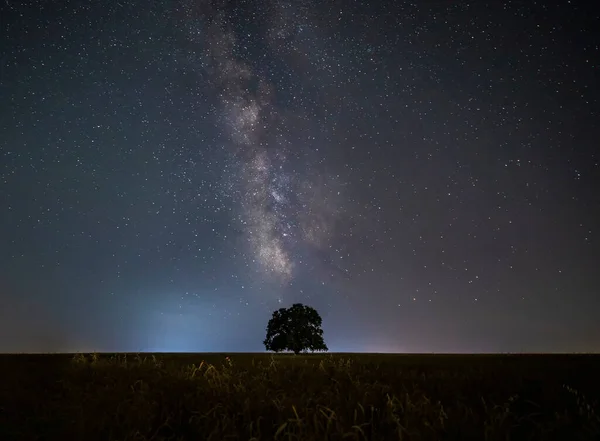 Milky Way Lonely Oak Field — Foto de Stock