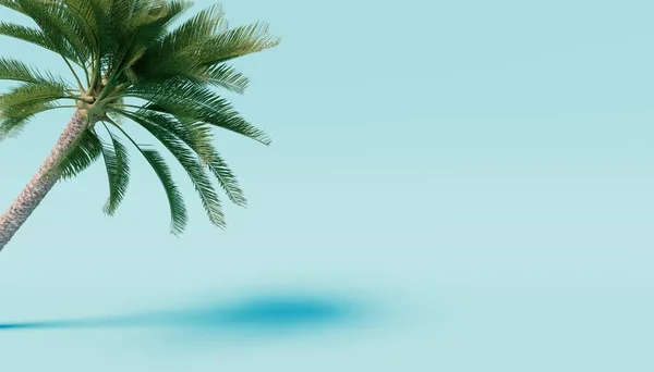 Palm Tree Blue Background Render — стоковое фото