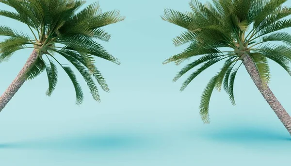 Palm Tree Blue Background Render —  Fotos de Stock