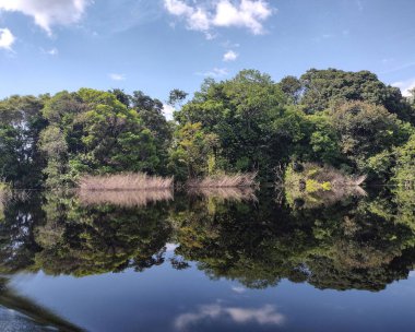 Amazon Ormanı Brezilya 'da Kara Nehir