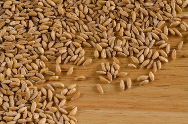 yazıldığından, yakın çekim, doku