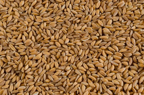 yazıldığından, yakın çekim, doku