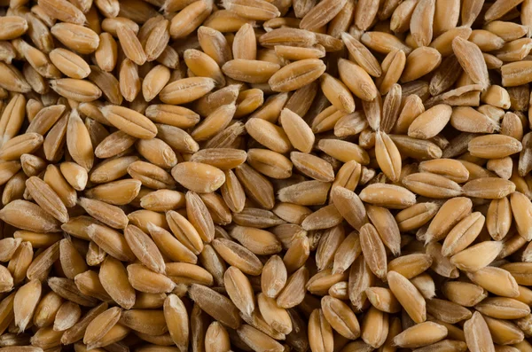 yazıldığından, yakın çekim, doku