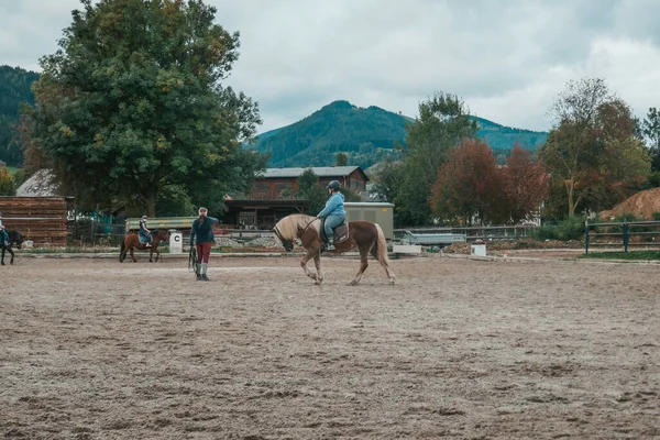 Hermosos Caballos Una Granja Austria Niñita Practicar Deportes Ecuestres Niño — Foto de Stock