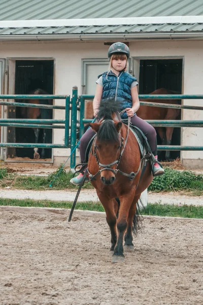 Hermosos Caballos Una Granja Austria Niñita Practicar Deportes Ecuestres Niño — Foto de Stock