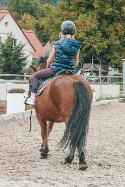 オーストリアの農場で美しい馬 女の子は馬術スポーツのために入る 子供は馬に乗っている — ストック写真
