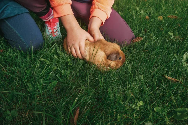 Små Och Söta Försökskaniner Flickvänner Tjejer Leker Med Husdjur Barn — Stockfoto
