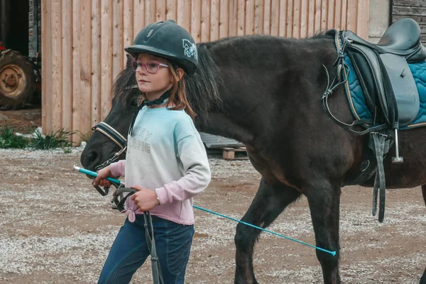 Krásné Koně Farmě Rakousku Holčička Chodí Jezdecké Sporty Dítě Jede Royalty Free Stock Obrázky
