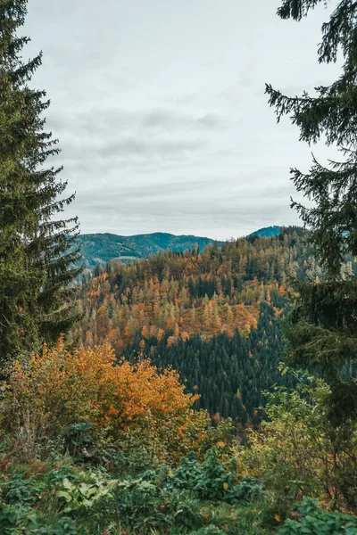 Schöner Herbst Den Bergen Österreichs — Stockfoto