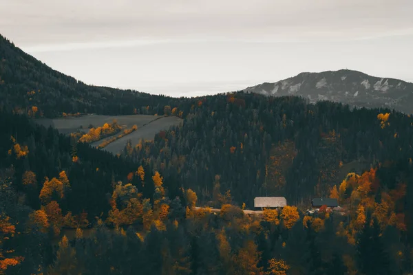 Schöner Herbst Den Bergen Österreichs — Stockfoto