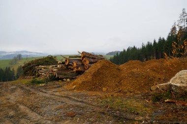 Avusturya 'da ormanların yok edilmesi. Yakacak odun yerde..