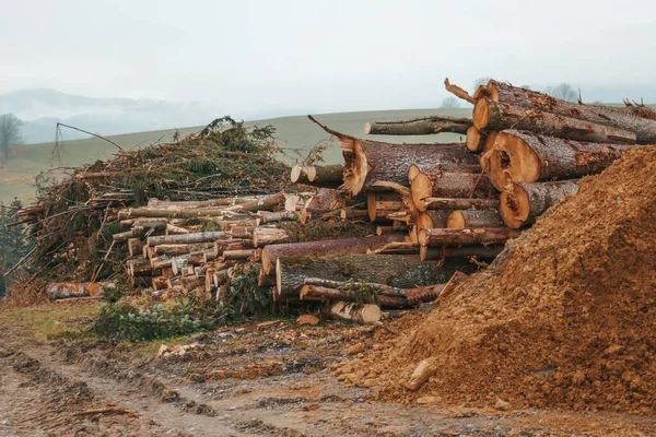 Вырубка Лесов Австрии Дрова Земле — стоковое фото