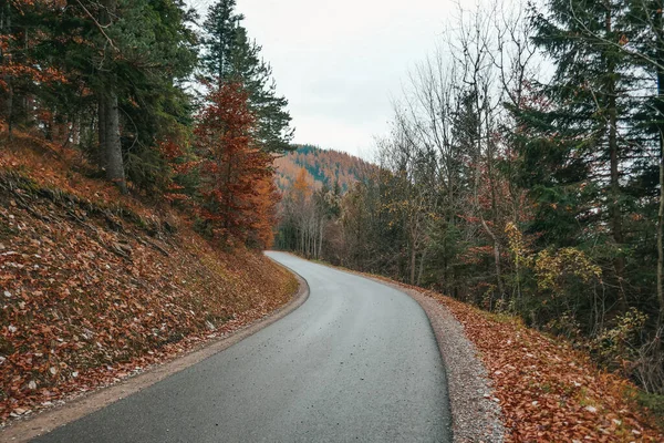 Schöner Herbstwald Laub Fällt Herbstberge Österreich — Stockfoto