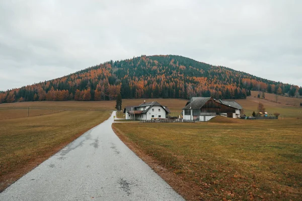 Schöner Herbstwald Laub Fällt Herbstberge Österreich — Stockfoto