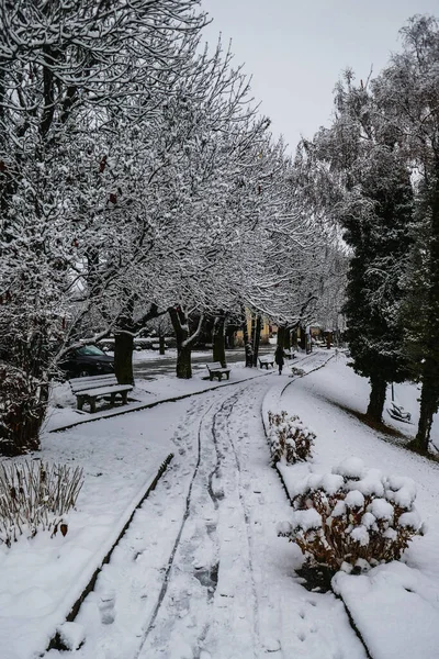 První Sníh Rakousku Listopadu Město Bylo Pokryto Sněhem Krásné Evropské — Stock fotografie