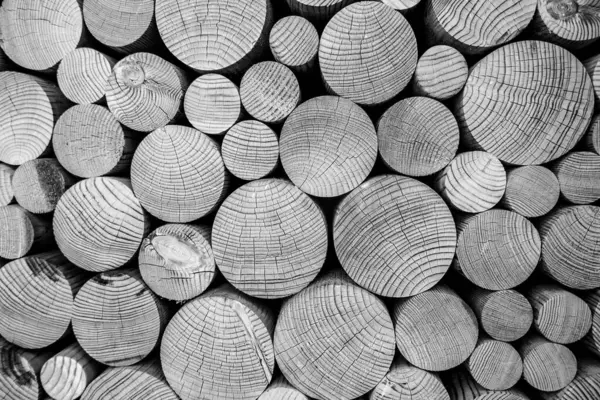 Серый Деревянный Фон Деревянные Кольца Фон Гранж Стиле — стоковое фото