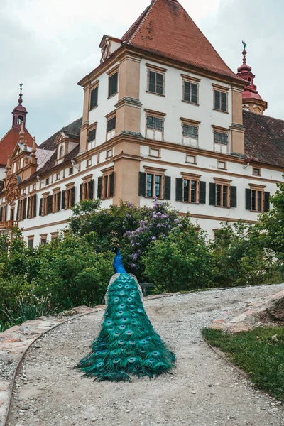 Peacock Park Backdrop Eggenberg Castle City Graz — Stock Photo, Image