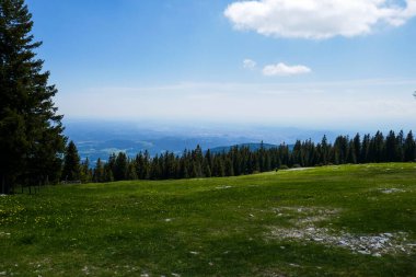 Güzel dağ yaz manzarası. Schckl Dağı Avusturya, Graz. Avusturya 'daki dağlar.