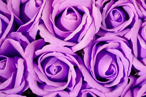 Floral Purple Background Roses — Stock Photo, Image