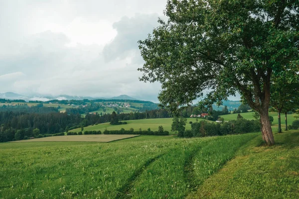 Австрия Земля Штирии Красивый Горный Пейзаж Горной Деревне После Дождя — стоковое фото