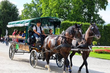 Horses with carriage in Vienna. Fiacra horses ride people in the park.